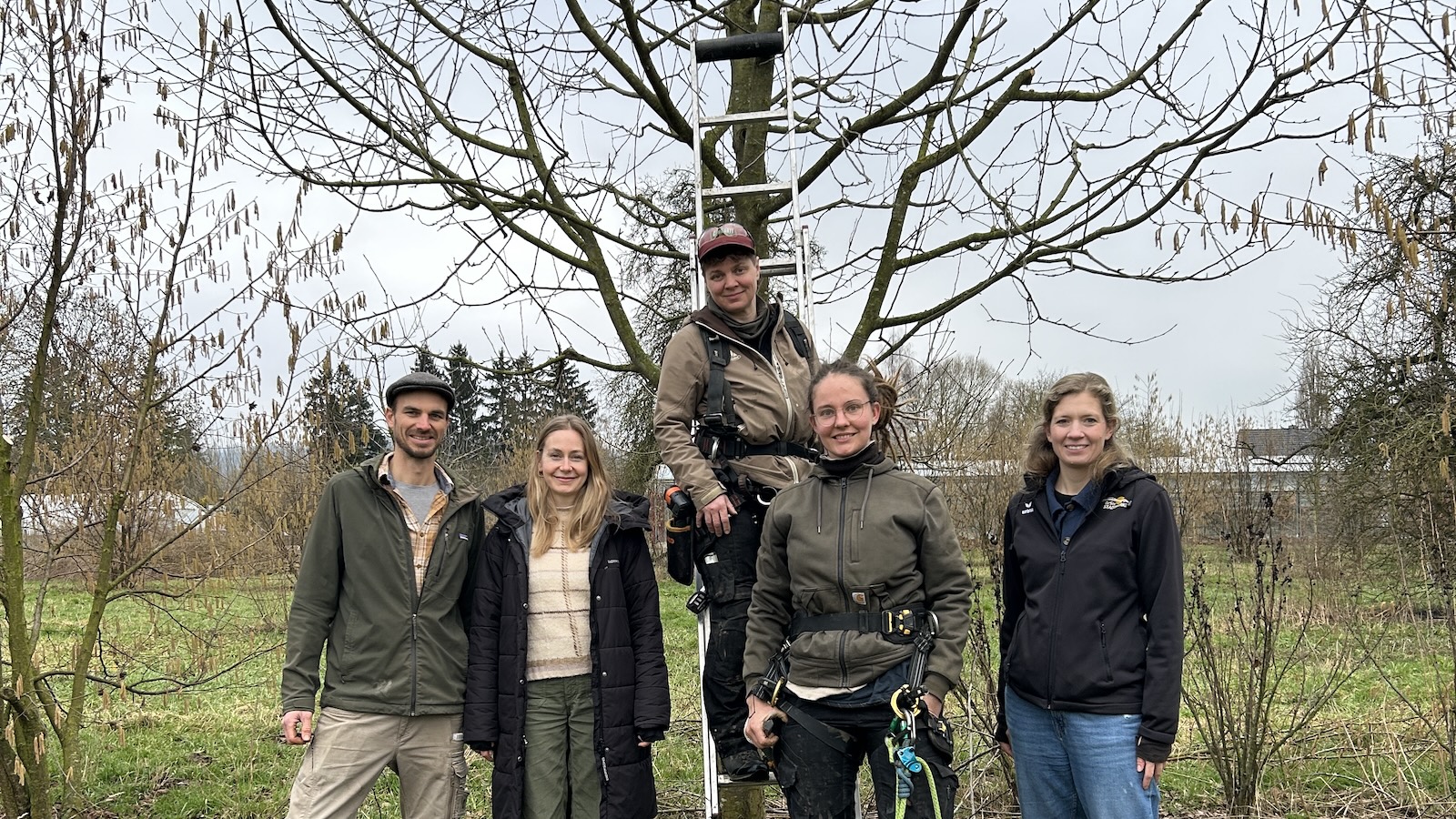 Pflege von Streuobstwiesen im Kreis Höxter auf gutem Kurs