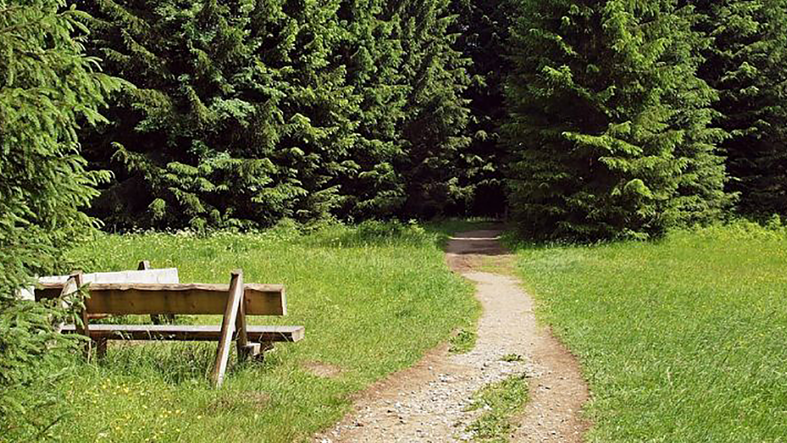 Kreuze am Wegesrand – Spurensuche in Bökendorf